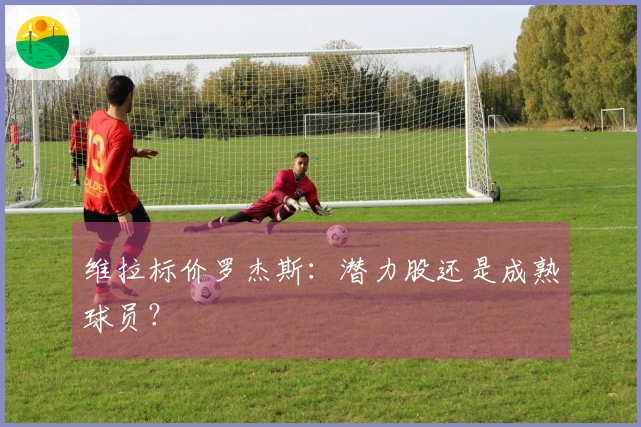 维拉标价罗杰斯：潜力股还是成熟球员？