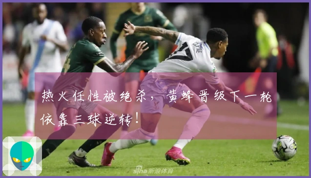 热火任性被绝杀，黄蜂晋级下一轮依靠三球逆转！
